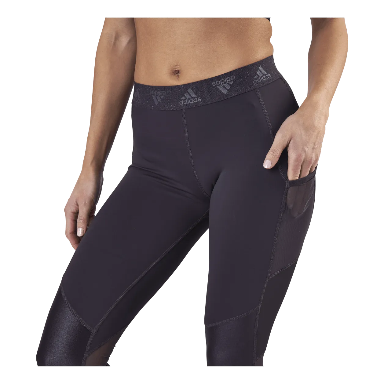Adidas Ask Glam Tight Purple
