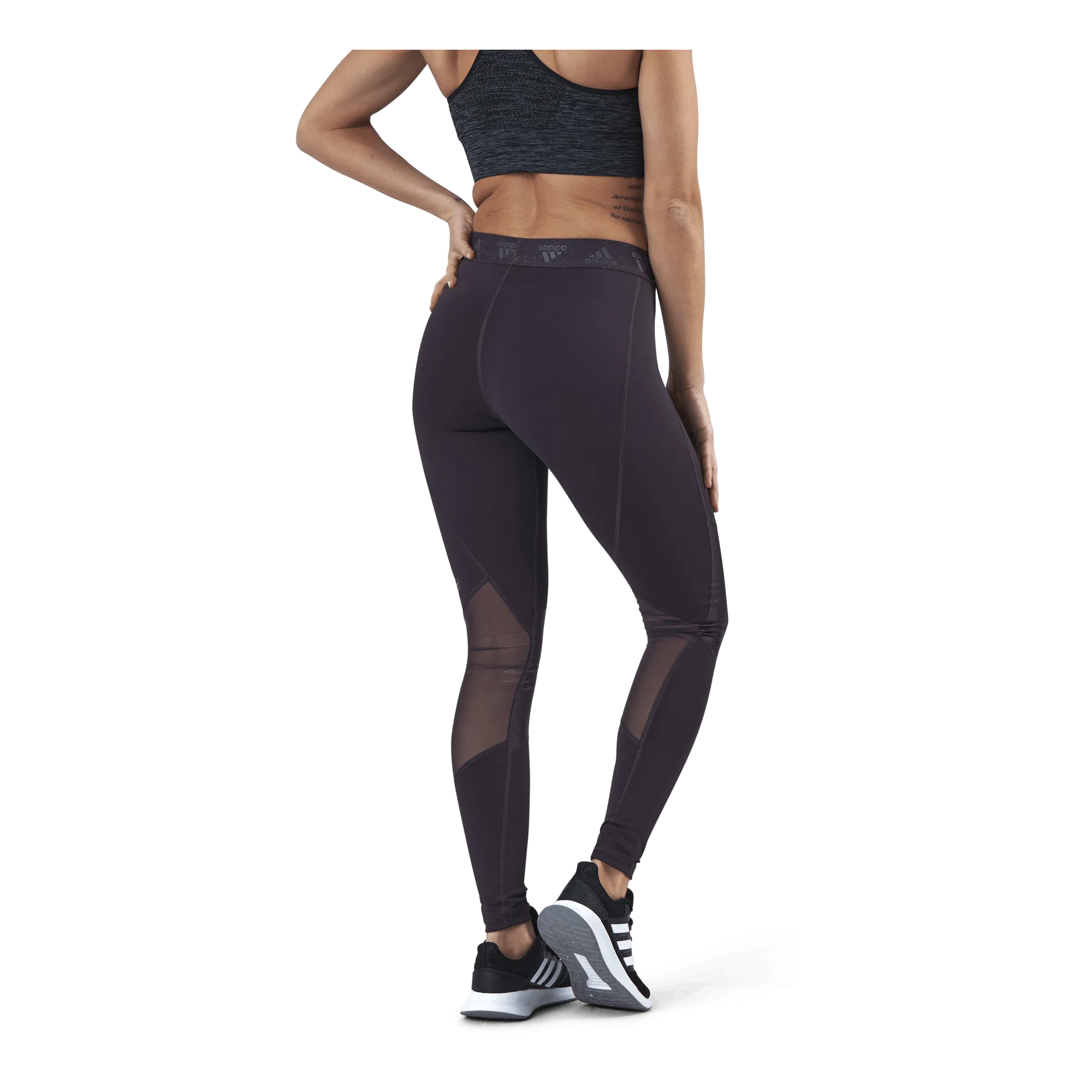 Adidas Ask Glam Tight Purple