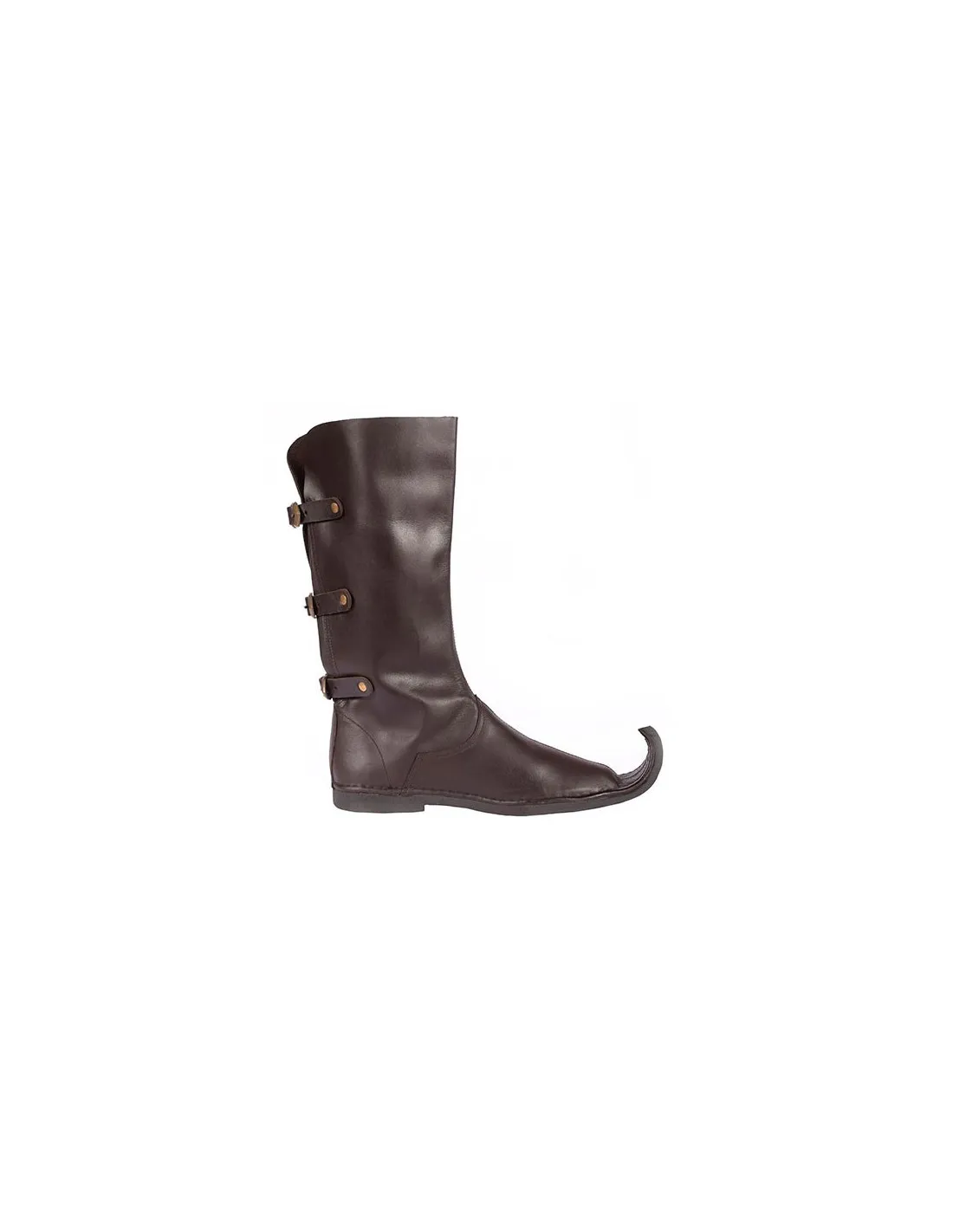 Botas altas de punta, Poulaines