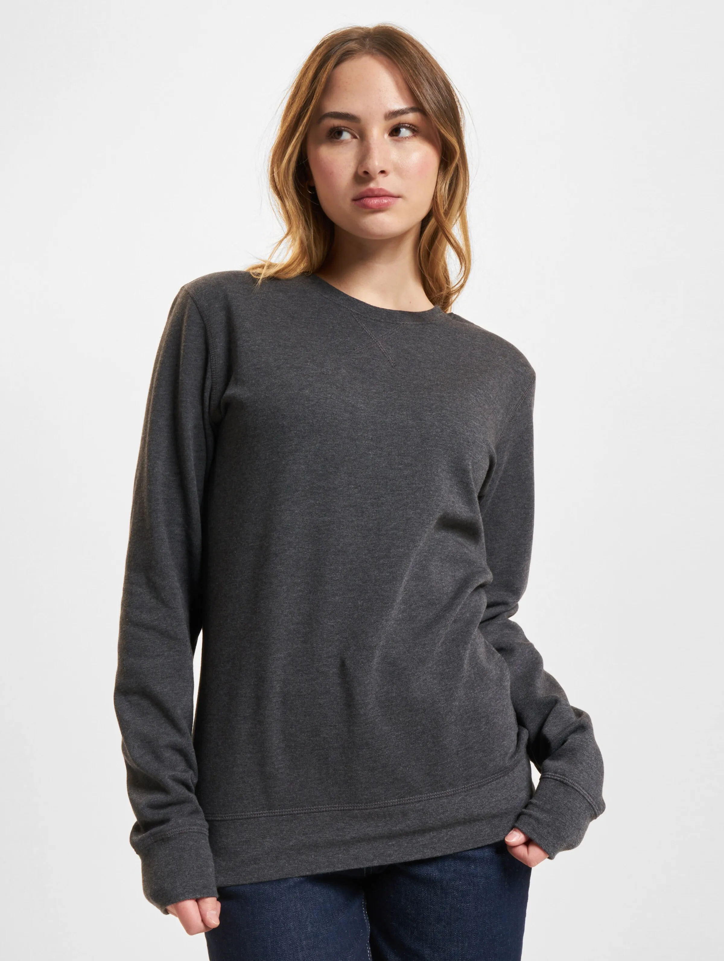 Build Your Brand Build Your Brand Ladies Light Crewneck