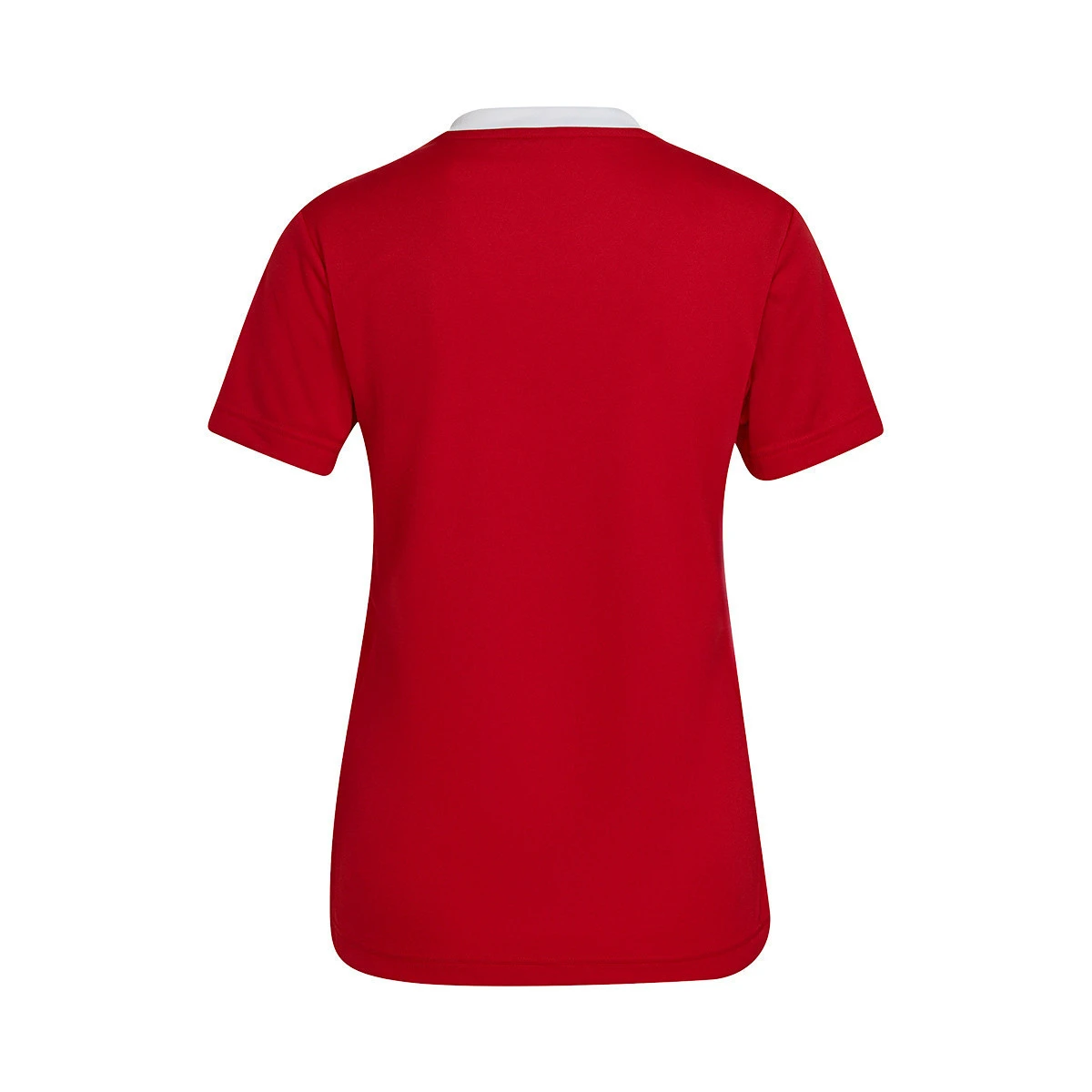 Camiseta adidas Entrada 22 m/c Mujer