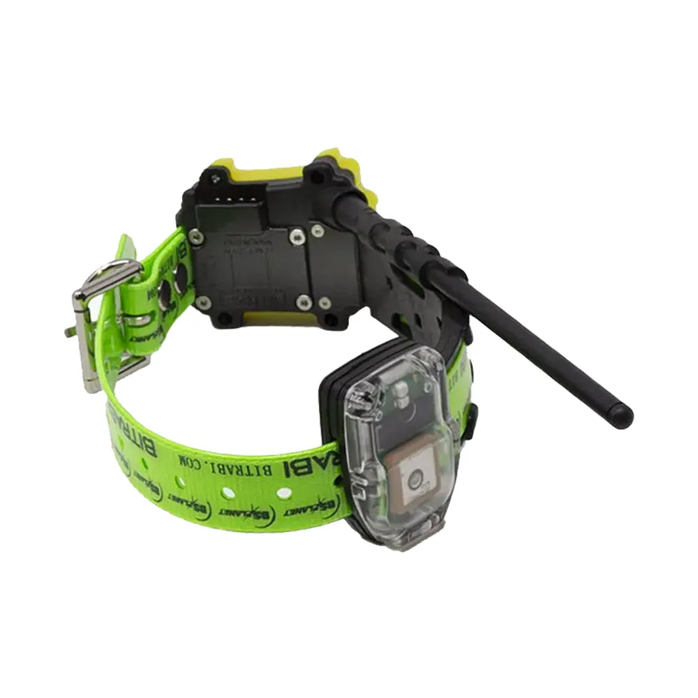 Collar para perros de caza GSM MITO 5200 BITRABI
