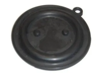 MEMBRANA COINTRA 5LT. MODERNO