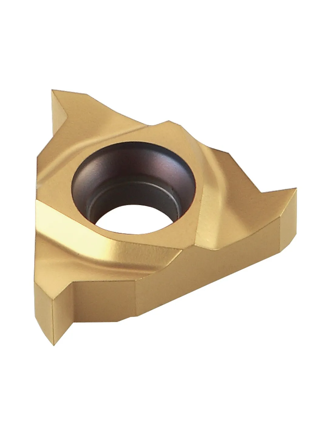 PLAQ.MD ROSC INT L16 0,51,5 PERF PARC