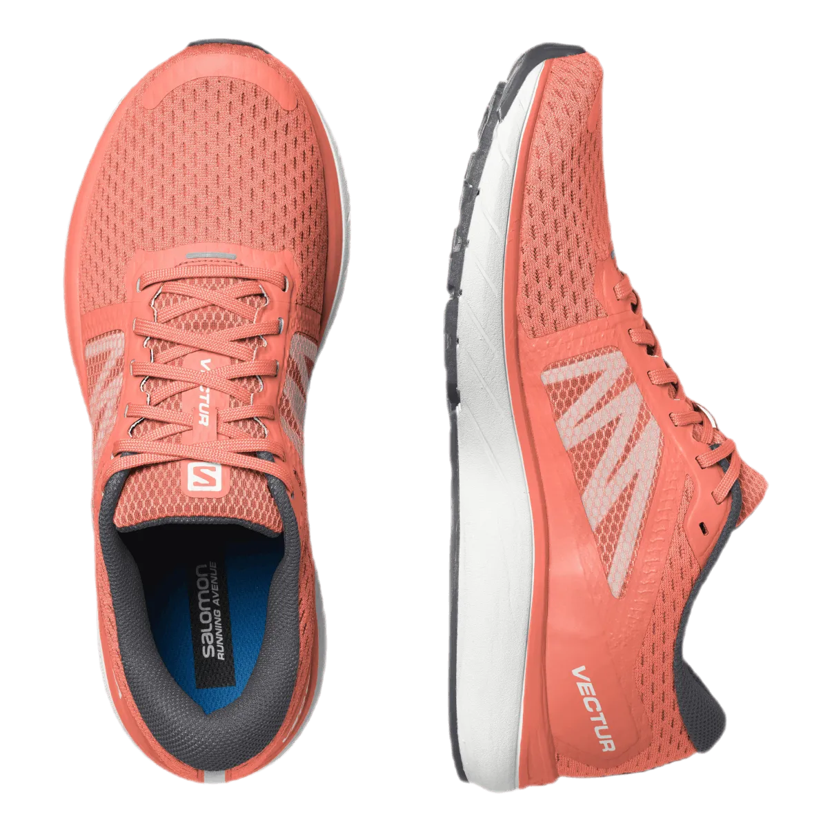 Salomon Vectur Red