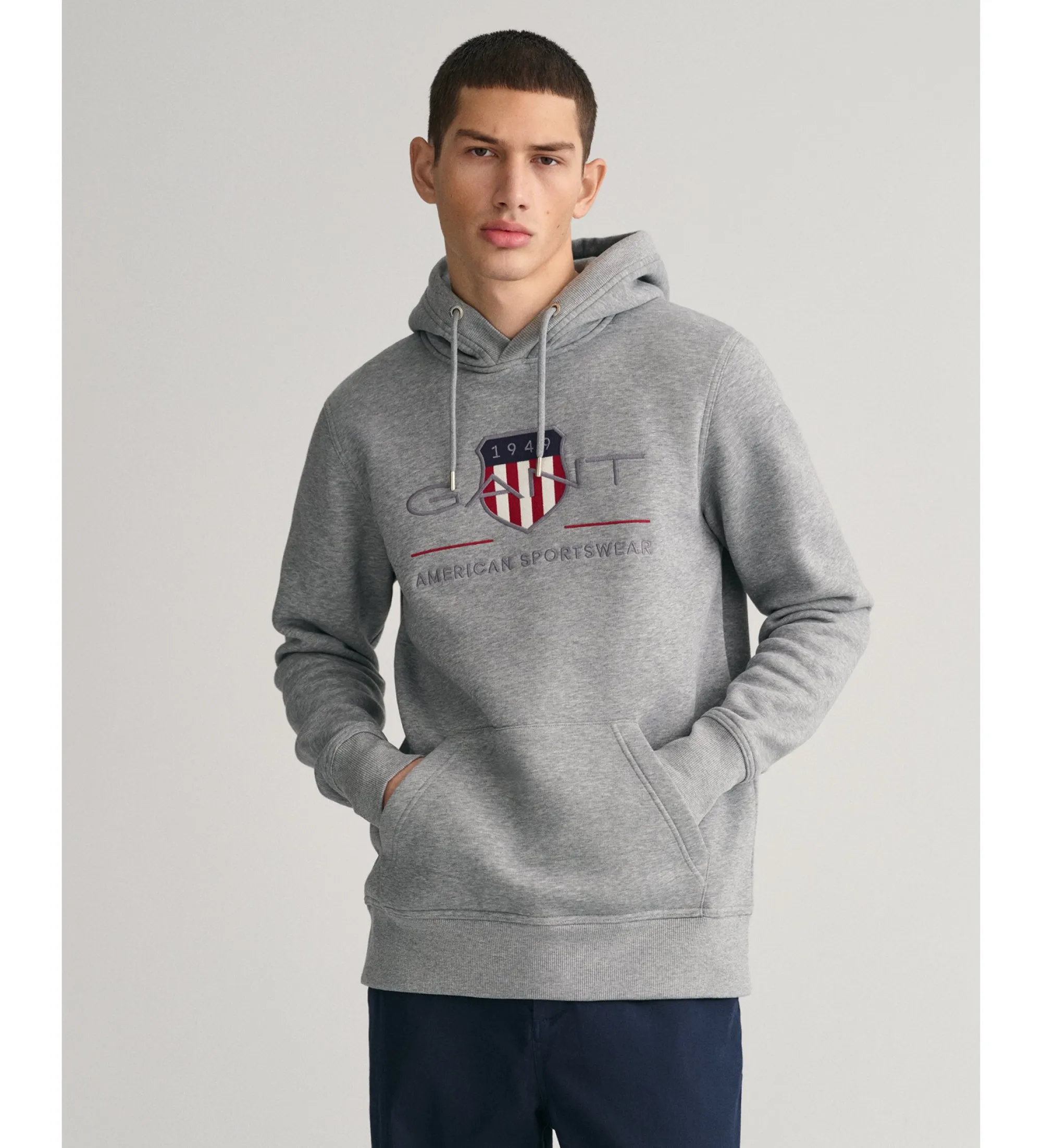 Sudadera con capucha Archive Shield gris