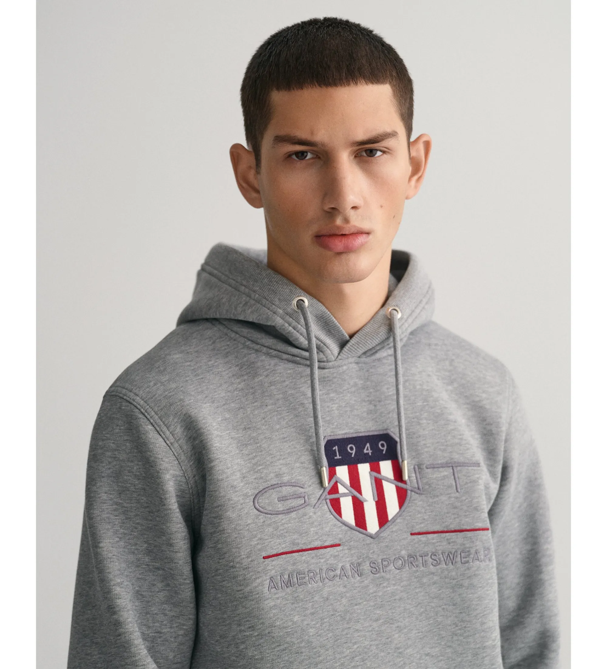 Sudadera con capucha Archive Shield gris