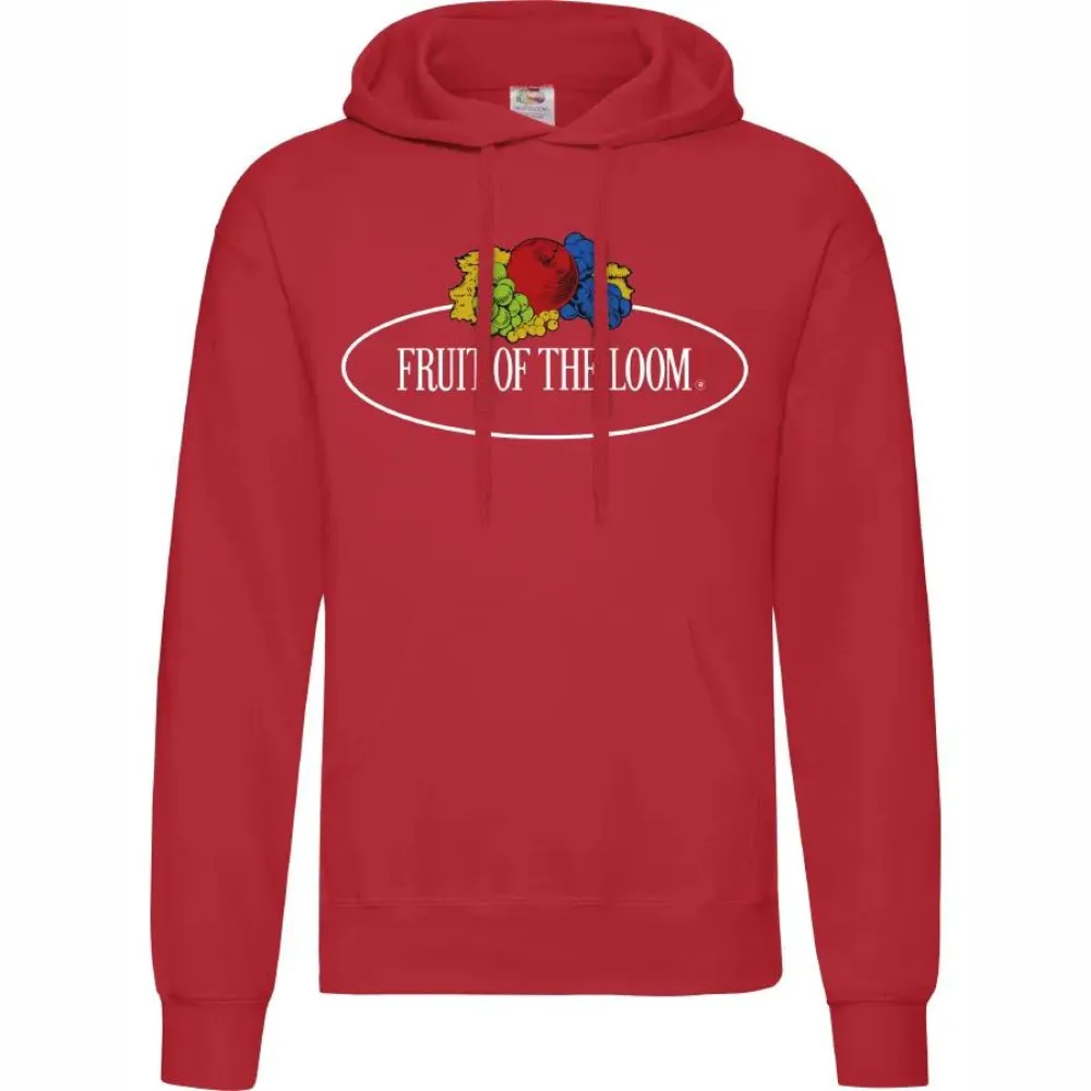 Sudadera Fruit of the Loom Vintage con capucha logo grande unisex